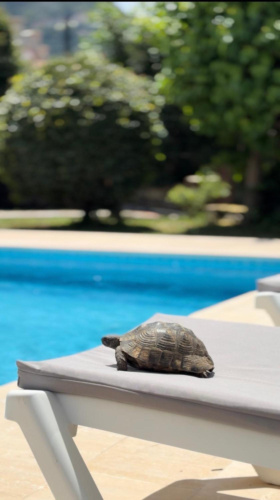 Villa Xanthos 301 Ölüdeniz Zewnętrze zdjęcie